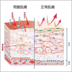 皮膚病.jpg