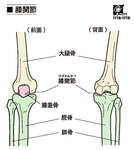 正座が出来ない整体八戸気功整体あなん