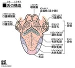 舌~八戸整体あなん