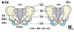 骨盤矯正八戸気功整体あなん