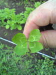 Image065~00.jpg